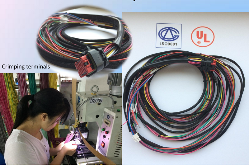 electric wire harness 