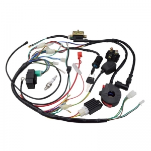 vehicle control wiring harness for Truck manufacturer